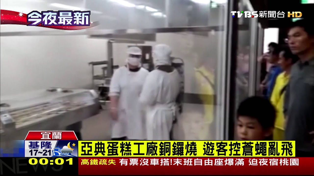 蛋糕工廠做銅鑼燒 遊客驚見蒼蠅亂飛