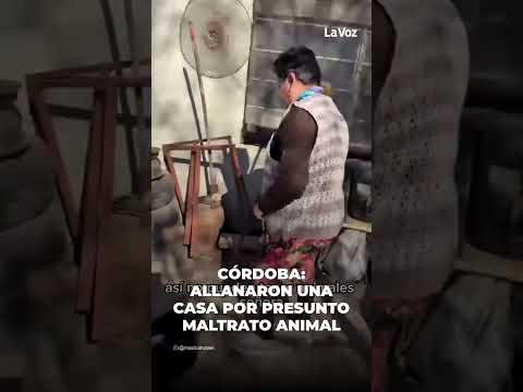INVESTIGACIÓN POR MALTRATO ANIMAL EN TICINO ⚖️