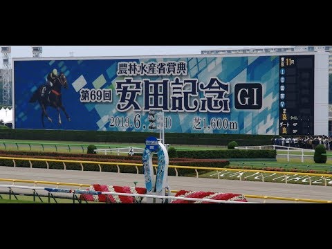 2019 【現地撮影】第69回安田記念（東京競馬場、GI：芝：1,600m）2019/06/02
