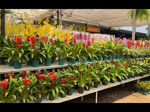 LOTS OF NEWS AND GREAT PRICES AT THIS FLORIST. MOTHER'S DAY IS COMING... Ateliê Florescer