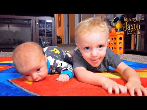 GUJ 508 | 12.20.2016 | Disney Tsum Tsum Advent Calendar Day 20