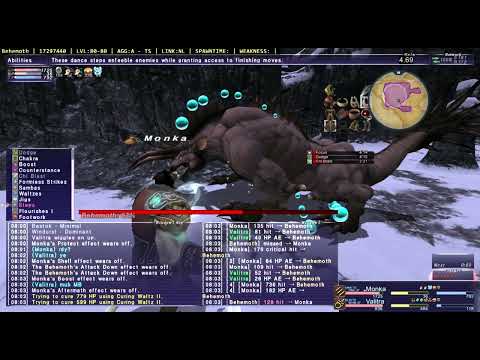 Behemoth Supernova FFXI MNK - Moving The Timer Along
