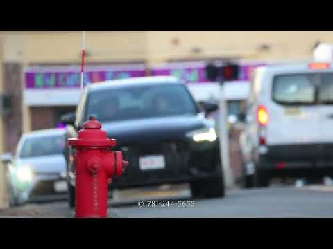 Robins - Bald Eagle - Saugus AerialPhoto123 Canon RF800MM sample video