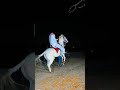Har Har Mahadev Viral Video Forest News Jungle Trend Viralreels