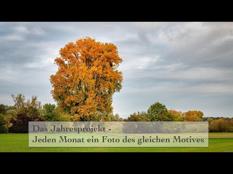 Das Jahresprojekt - Jeden Monat ein Foto des selben Motives