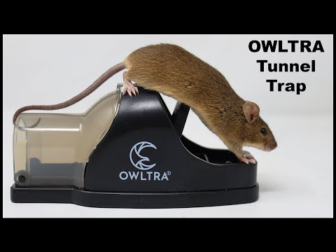 Highly Recommended - A great New Mousetrap - The Owltra Tunnel Snap Trap - Mousetrap Monday