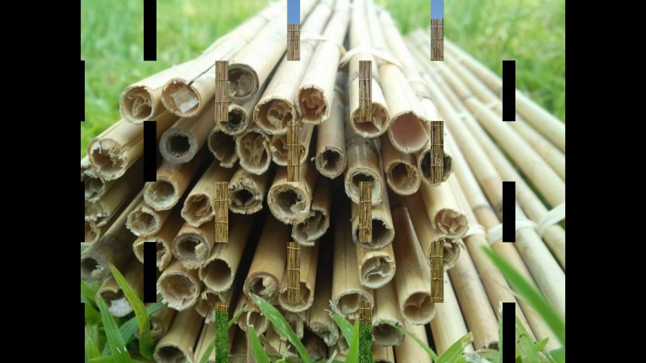 סכך למכירה - חייג 072-2133333