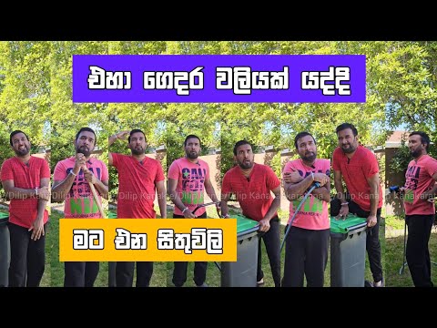 එහා ගෙදර වලියක් යද්දි මට එන සිතුවිලි Dilip Thejana Neighborhood wali sithuvili දිලිප් තේජන #comedy