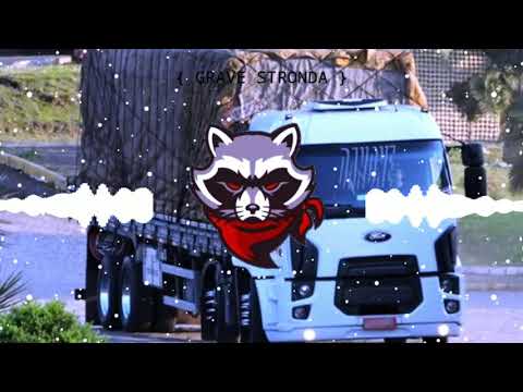 Forró do HF - Ela traiu (14 MILHÕES) [COM GRAVE]