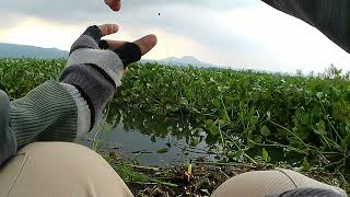 Download lagu Mancing rawa pening spot kali galeh mp3 Download lagu Mancing rawa pening spot kali galeh mp3