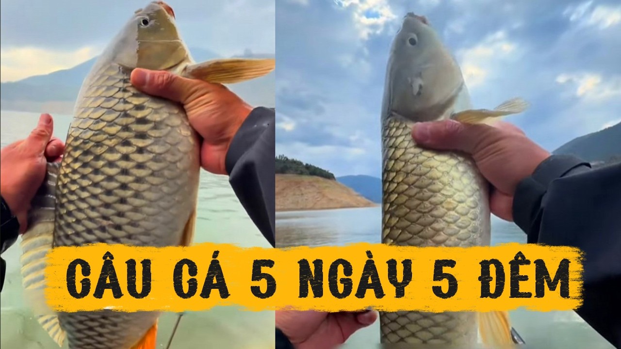 CÂU CÁ 5 NGÀY 5 ĐÊM BẰNG 100 KG BẮP