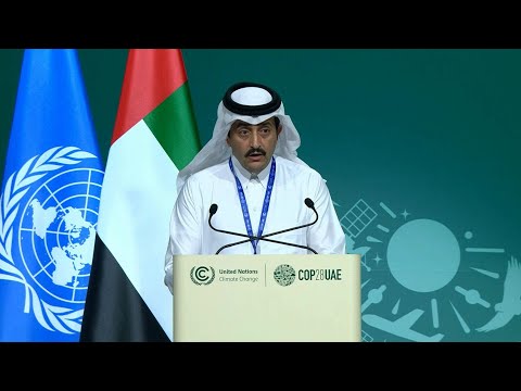 No 'single solution' for sustainable energy future: OPEC | AFP