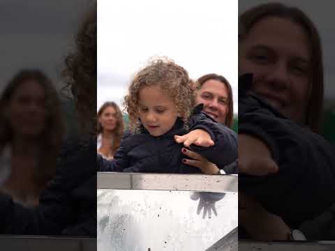 Segunda vendimia en Tupungato Reserve 2026