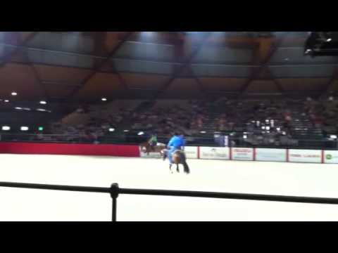 Reining clinic with Al Dunning