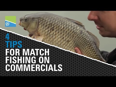 4 Essential Tips for Match Fishing on Commercials