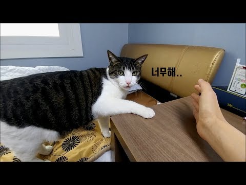 아이콘