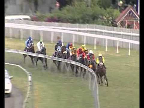 SMS Pariaz Video Meeting 32 Race 8 - 2013