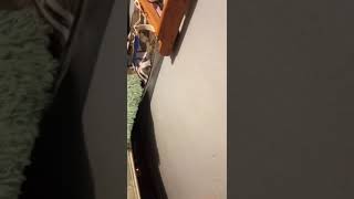 FAT MOMMY MILKERS