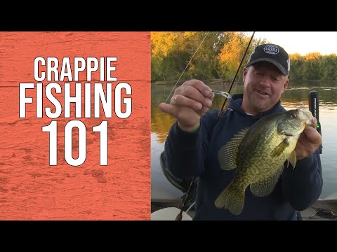 YouTube video about: Where to buy crappie fish?