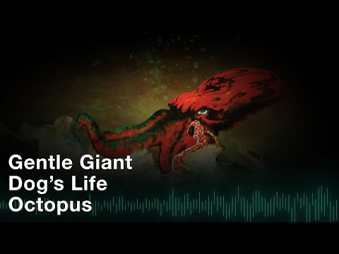 Dog's Life video thumbnail