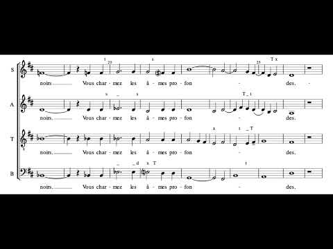 Calme des nuits (C. Saint-Saens) Score Animation