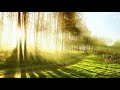 سورة البقرة بصوت يريح القلب وديع اليمني بدون إعلانات Surat Al Baqarah No Ads سورة البقرة بصوت يريح القلب وديع اليمني بدون إعلانات Surat Al Baqarah No Ads