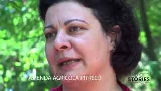 preview picture of video 'azienda agricola pitrelli'