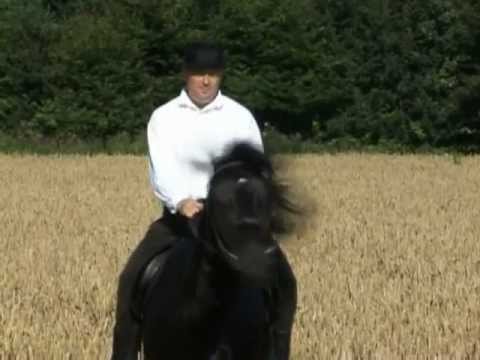 Slavonija, Srijem i Baranja spot