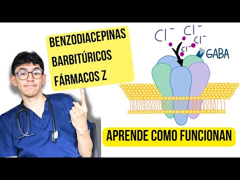 Benzodiazepines, Barbiturates, and BZ1 Agonists: Mechanism of Action | Simple Explanation