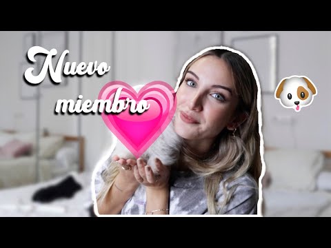OS PRESENTO AL NUEVO MIEMBRO 🐶 DE LA FAMILIA  ❤️ Vlogmas 1