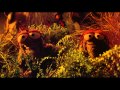 Muppet Treasure Island - Shiver My Timbers (1080p ...