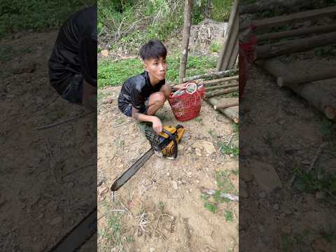 Cuộc Sống Mới…!