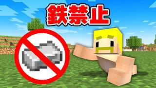 鉄禁止の世界でエンドラ討伐！【マイクラ】