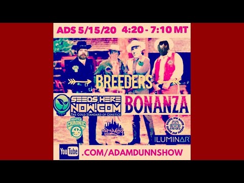 Seeds Here Now Breeders Bonanza!