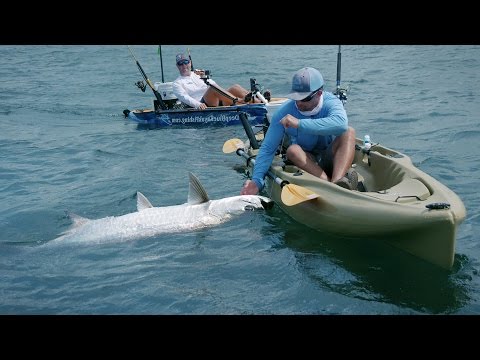 Kayak Fishing - Giant Tarpon and Jack Crevalles - 4K