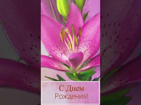 💝Поздравляю тебя с Днем Рождения!!! Арт #short