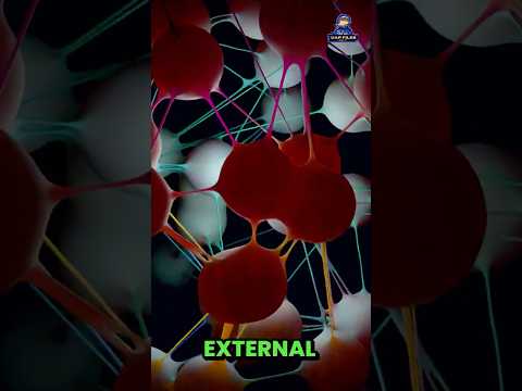 We Live in a Holographic Universe?! | UAP Files Podcast S4|E13 w/ Anthony Peake