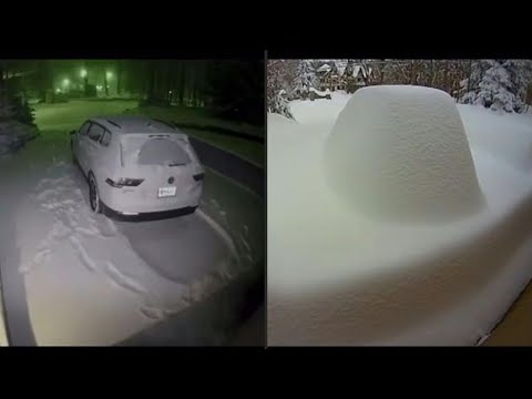 ニューヨークで記録的な降雪で車が埋もれる様子をタイムラプスで撮影 | ＡＦＰ