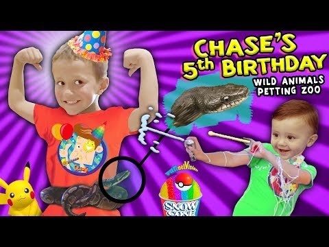Chase's Wild Animals 5th BIRTHDAY PARTY w  Snakes, Pokemon & Silly String Battle FUNnel Vision