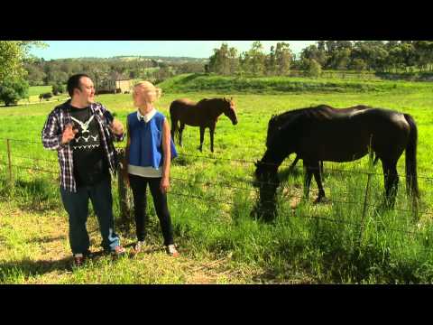 G'DAY SA TRAVEL - Bloopers - Car Attraction