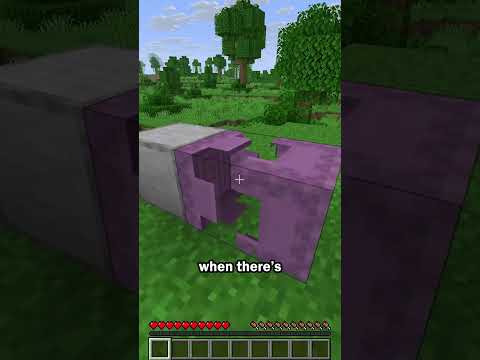 Shulker box secret use
