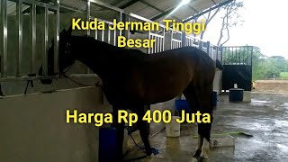 Download lagu Seeing the Horse Collection at Joko Tingkir Stable Temboro mp3 Download lagu Seeing the Horse Collection at Joko Tingkir Stable Temboro mp3