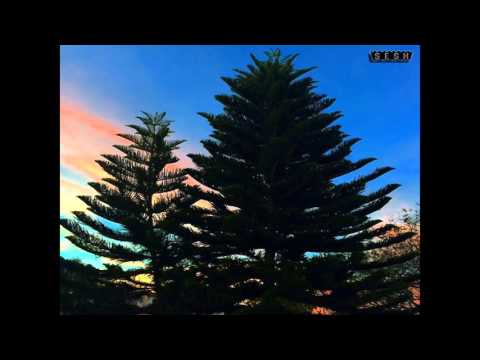 drew the architect - dial flower (Feat. drip-133)