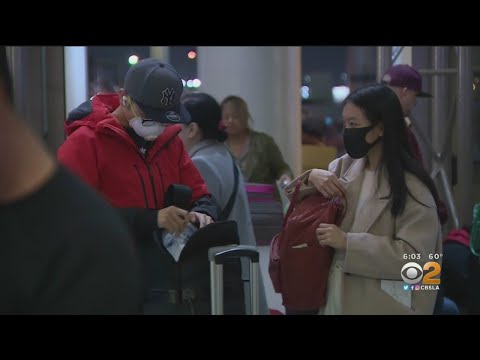 ロスアンゼルス空港の医療用スクリーナーがコロナウイルスに陽性反応を示す (Medical Screener At LAX Tests Positive For Coronavirus)