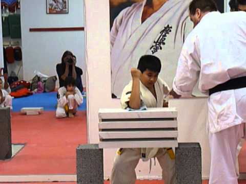 Lipo Lodin Tamashewari