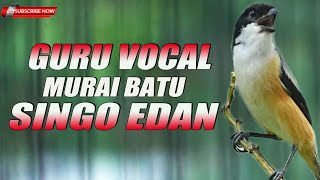 Download lagu MASTERAN MURAI BATU SINGO EDAN FULL NEMBAK MATERI KASAR MEWAH UNTUK CALON JAWARA mp3