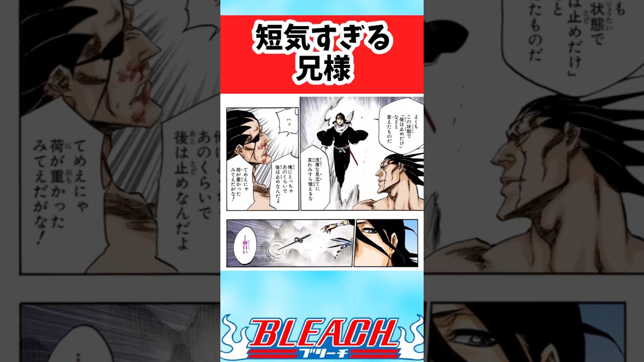 【BLEACH】短気すぎる兄さまについての読者の反応集【反応集】#shorts