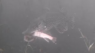 Minnesota Ice Fishing 2024 - Who's ready!
