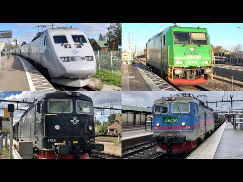 Svenska tåg som tutar / Compilation of train horns (Sweden)