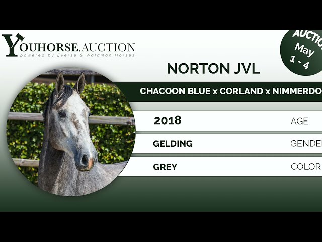 Norton JVL